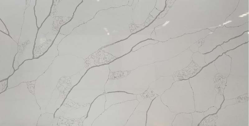 Calacatta Gray
